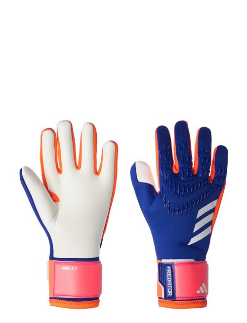 Predator Goalkeeper Gloves League Adidas Performance Blue