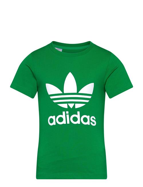 Trefoil Tee Adidas Originals Green