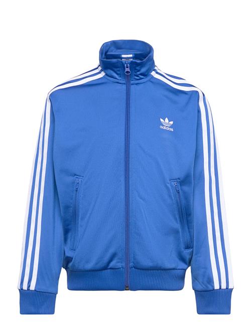 Firebird Top Adidas Originals Blue