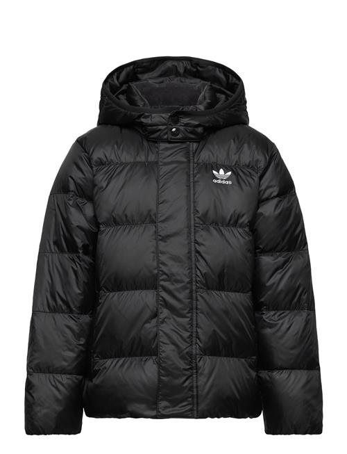 Down Jacket Elo Adidas Originals Black