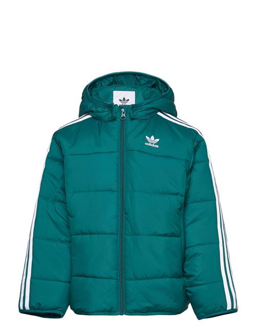 Padded Jacket Adidas Originals Green