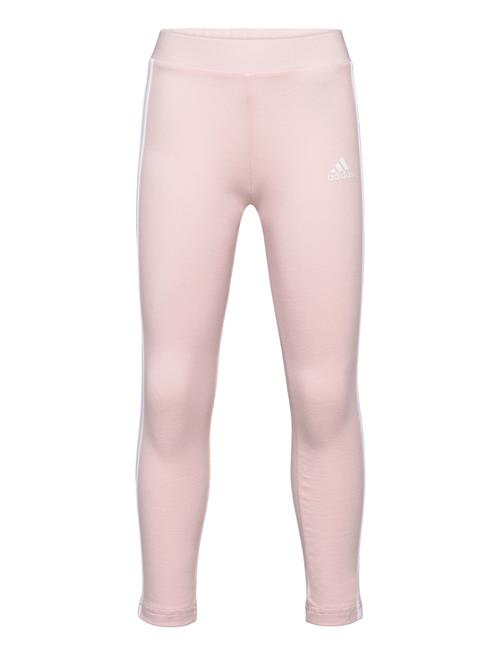 Lk 3S Tight Adidas Sportswear Pink