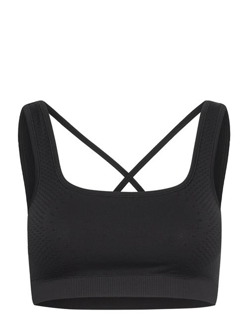 Scallop Seamless Bralette Casall Black