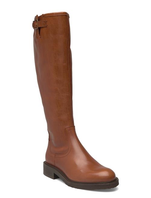 Long Boots Billi Bi Brown