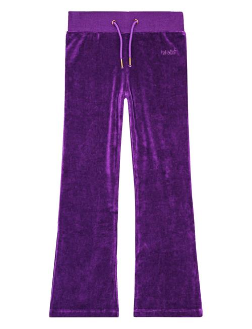 Annie Molo Purple