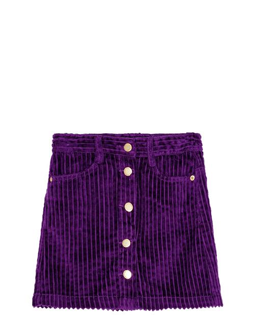 Bera Molo Purple