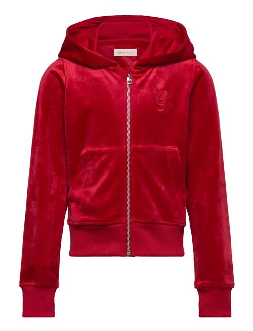 Velour Zip Hoodie GANT Red