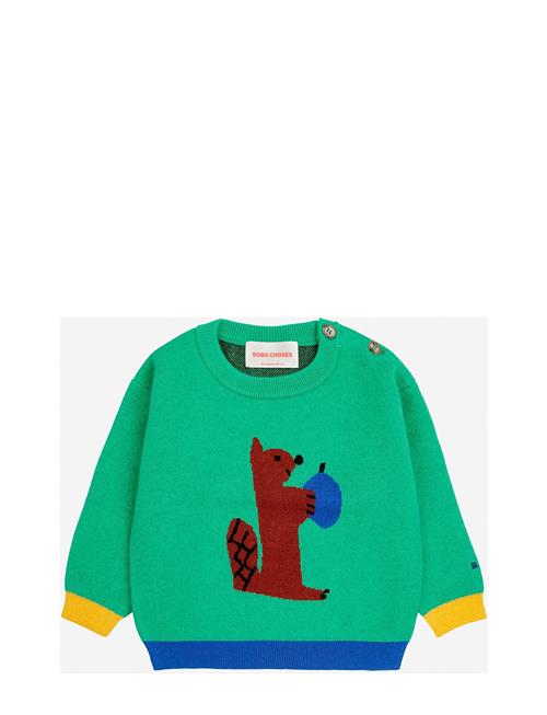 Baby Hungry Squirrel Jumper Bobo Choses Green