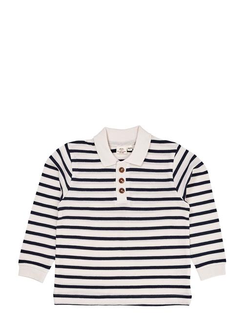 Striped Pique Polo W. Ls Copenhagen Colors Cream