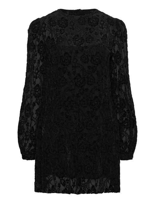 Dablon Lace Black Mini Dress ALOHAS Black