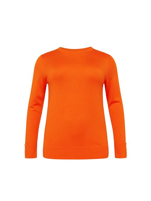 Se Dorothy Perkins Curve Pullover  orange ved About You