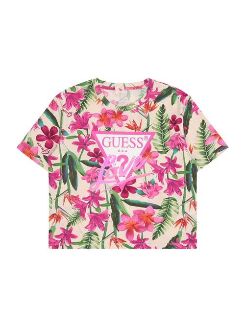 GUESS Bluser & t-shirts 'MIDI'  chamois / siv / hummer / pink