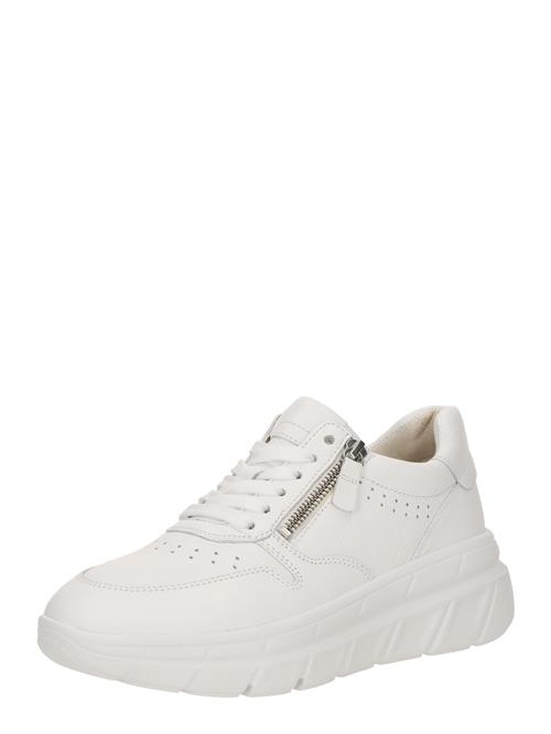 GABOR Sneaker low  hvid