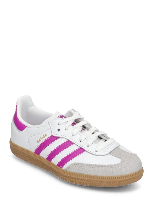 Samba Og C Adidas Originals White