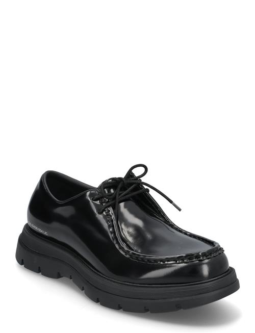 Reice Lace Up Steve Madden Black