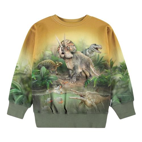 Molo Mattis Sweatshirt Forest Dinos 104cm  Grøn  104 cm  mand