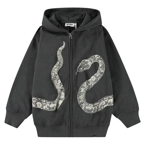 Molo Mazzo Hoodie Unexplored | Grå | 164 cm