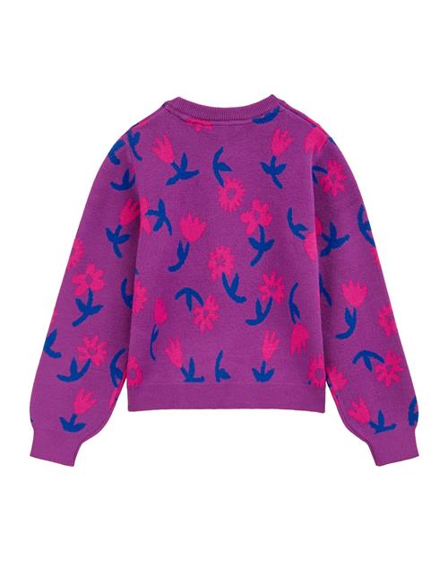 WE Fashion Pullover  indigo / lilla / pink