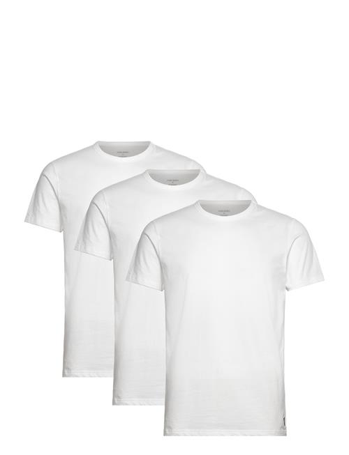 Basic 3 Pack T-Shirt Lyle & Scott White