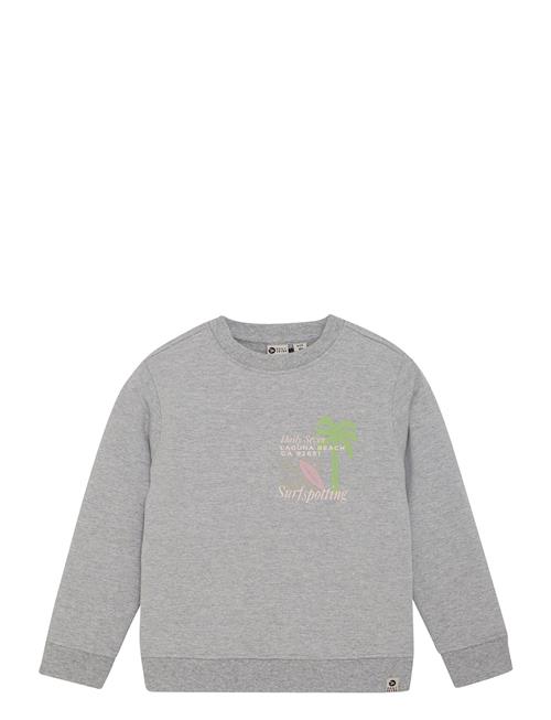 Sweater Textprint Daily 7 Grey