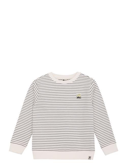 Sweater Stripe Daily 7 Beige