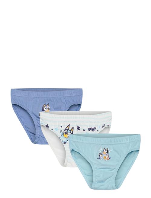 Panties Bluey Blue