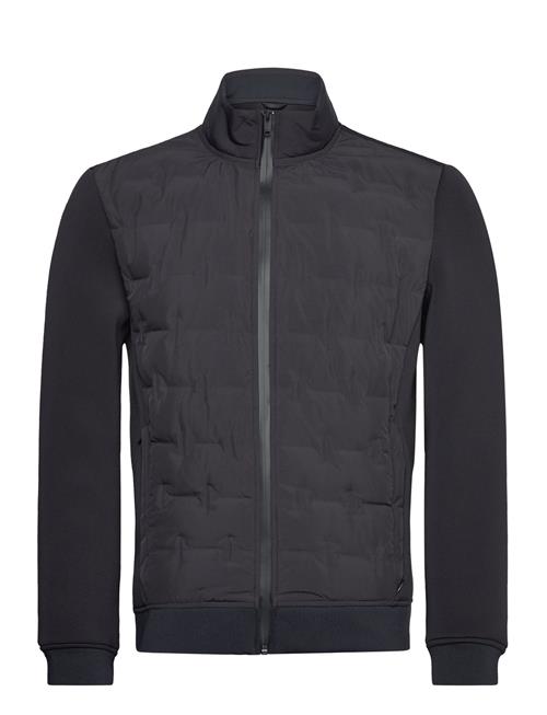 Light Padded Urban Jacket Lindbergh Black Navy