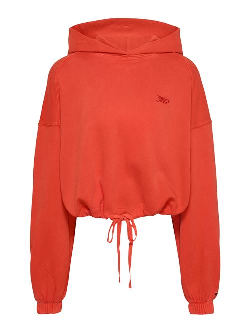 Tommy Jeans Sweatshirt  hummer