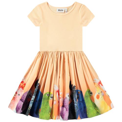 Molo Cissa Short-Sleeved Dress Rainbow Parrots | Orange | 122/128 cm