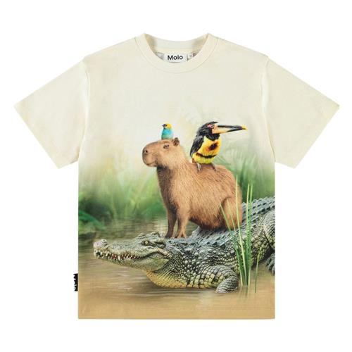 Molo Rubin Short Sleeve T-Shirt Capybara Chill 116 cm  Beige  116 cm  mand