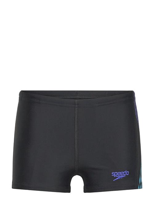 Boys Plastisol Placement Aquashort Speedo Black