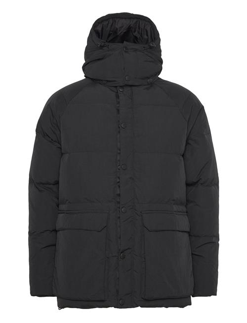 Down Jacket Stan Ray Black