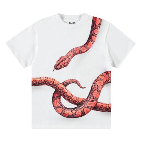 Molo Rubin Short Sleeve T-Shirt Red Snake 140 cm  Hvid  140 cm  mand