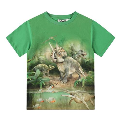 Se Molo Riley Short Sleeve T-Shirt Jungle Dinos 110 cm  Grøn  110 cm  mand ved Babyshop