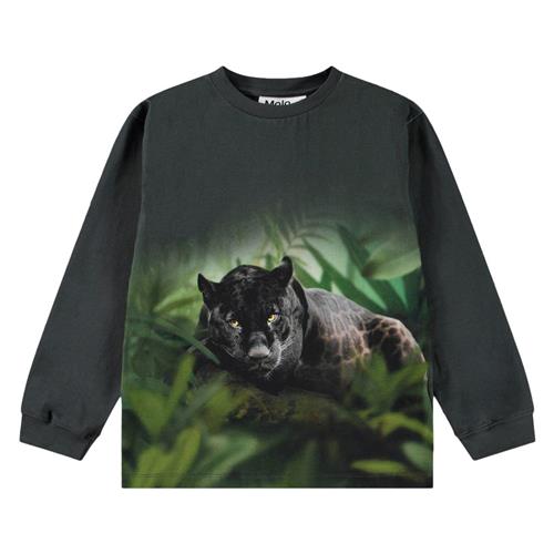 Se Molo Rube Long Sleeve T-shirt Black Jaguar 140 cm  Sort  140 cm  mand ved Babyshop