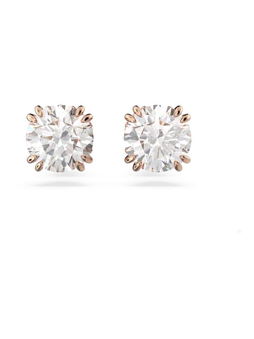 Swarovski Øreringe 'Stilla stud earrings'  rosa guld / transparent