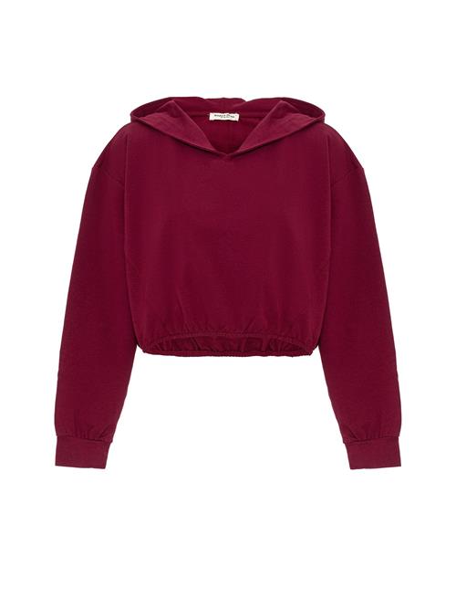 Anou Anou Sweatshirt  rødviolet