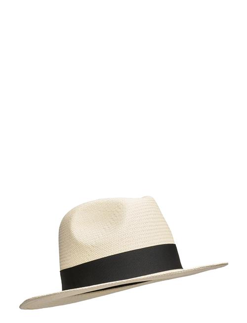 Fedora Panama Hat Wigéns Black