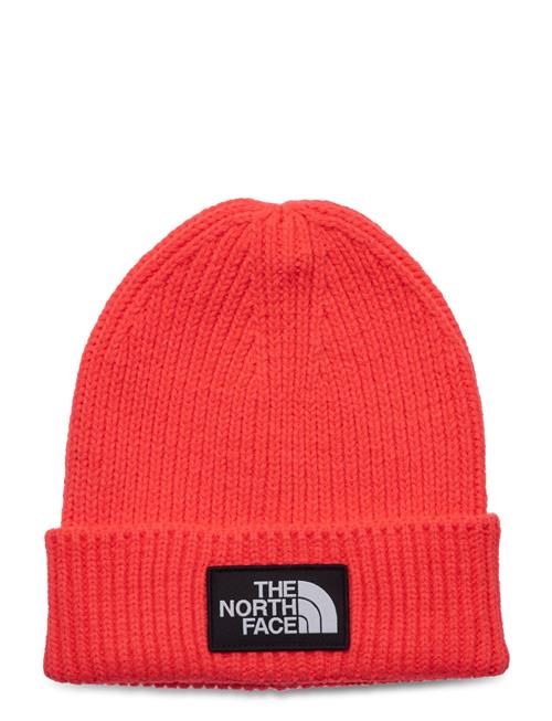 Kids Tnf Box Logo Cuffed Beanie The North Face Coral