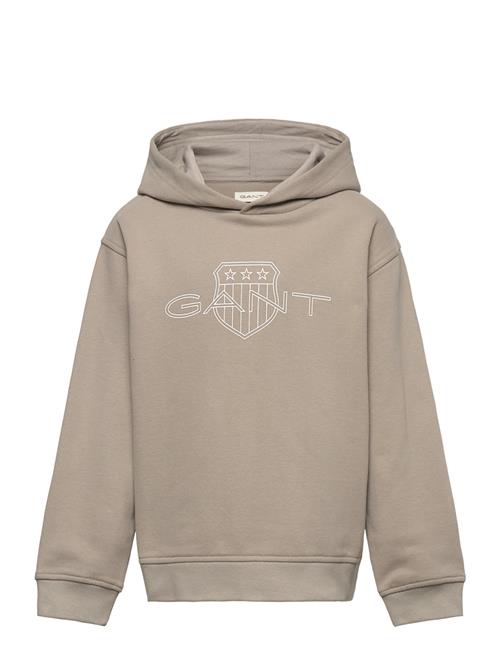 Relaxed Contrast Shield Hoodie GANT Beige