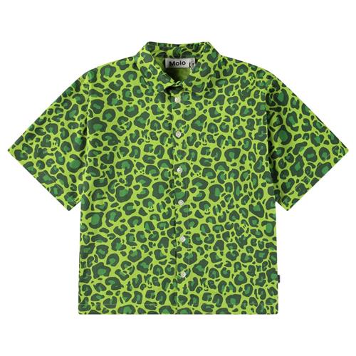 Molo Richie Long Sleeve Shirt Jaguar_green 146/152 cm  Grøn  146/152 cm  mand