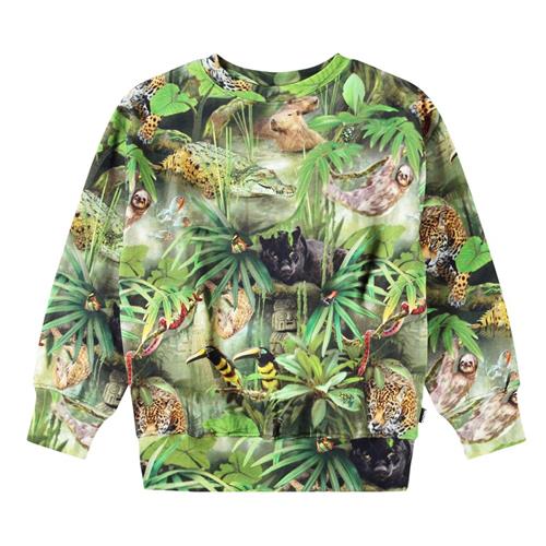 Molo Mattis Sweatshirt Jungle Animals | Grønn | 152 cm