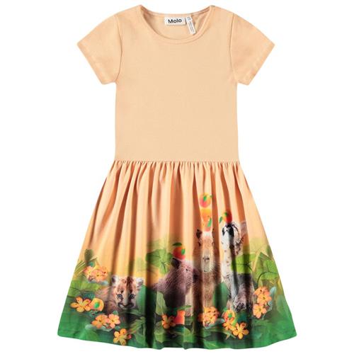 Molo Cissa Short-Sleeved Dress Jungle Games 98/104 cm  Orange.  98/104 cm  kvinde