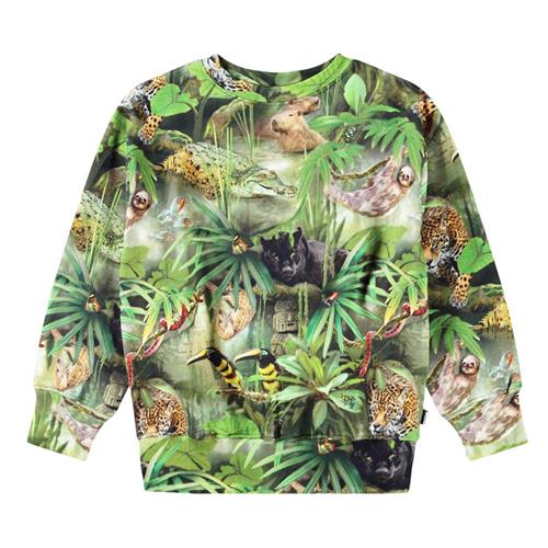 Se Molo Mattis Sweatshirt Jungle Animals 98 cm  Grøn  98 cm  mand ved Babyshop