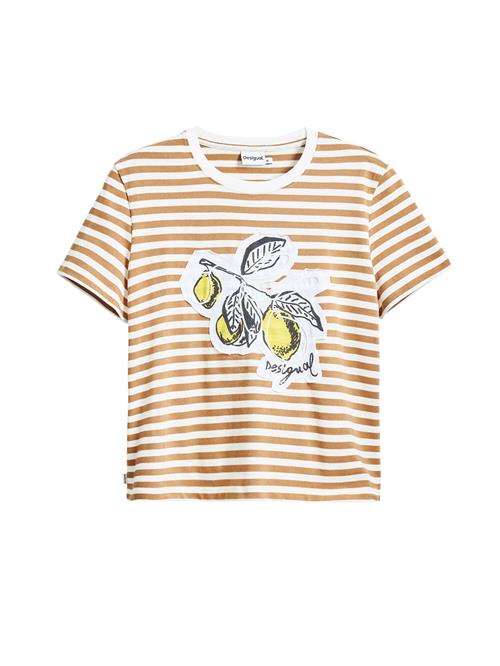 Desigual Shirts  orange / hvid