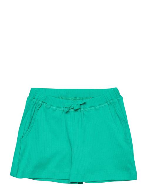 Rib Jersey Shorts Copenhagen Colors Green