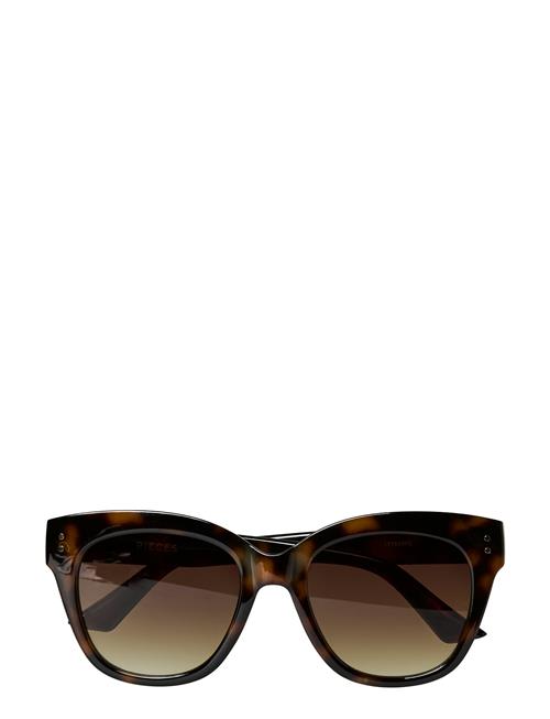 Pcbelina Sunglasses Noos Pieces Brown