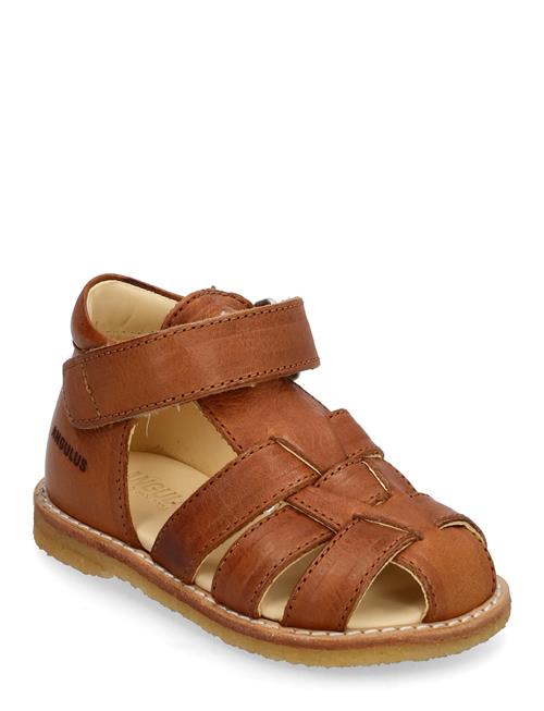 Sandals - Flat - Closed Toe - ANGULUS Brown