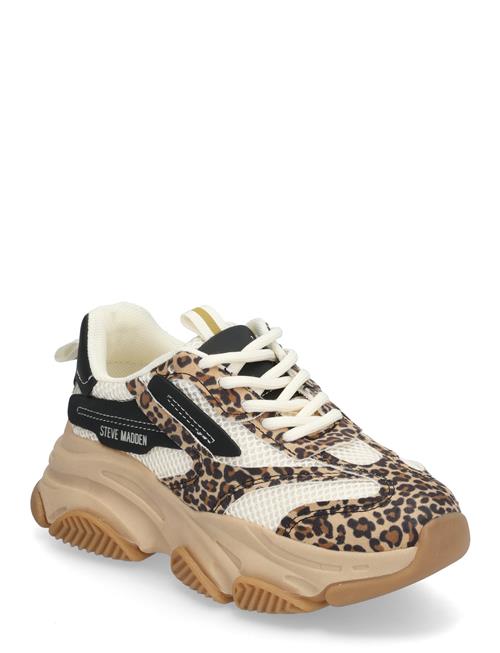 Jpossession Sneaker Steve Madden Patterned