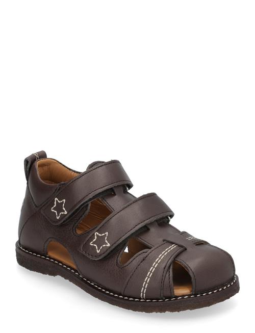 Sandals - Flat - Closed Toe ANGULUS Brown